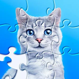 Jigsaw Puzzles